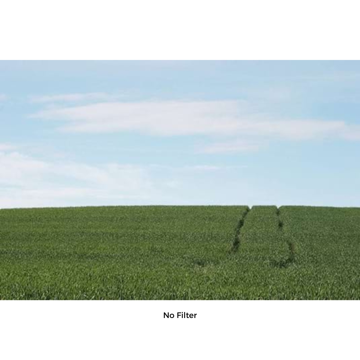 Schneider True-Pol® Circular 4 1/2'' DROP 2