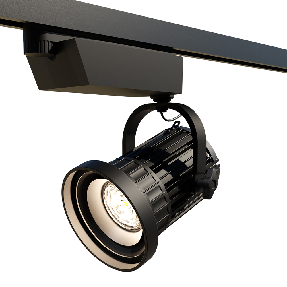 BB&S CFL Bi-Color Zoom Track-Mount