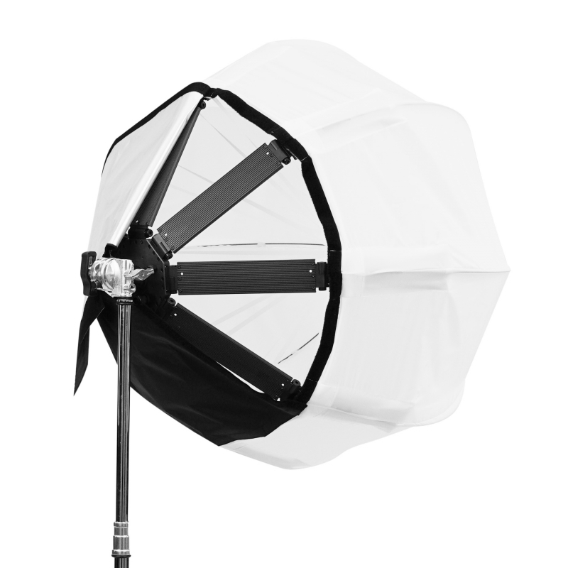 DoPchoice SNAPBAG® Lantern 3' HUDSON SPIDER Redback