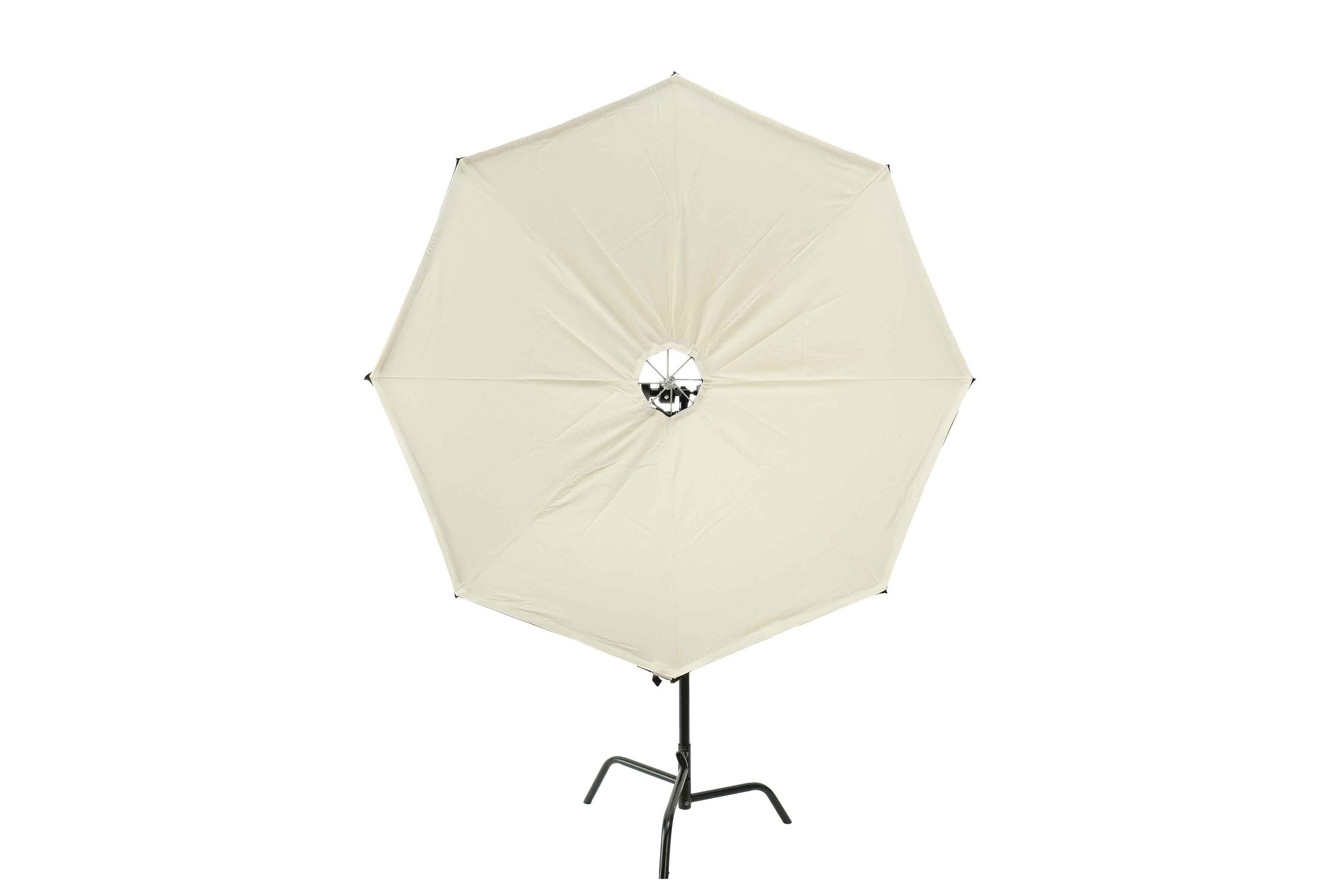 Lightbridge Color Bounce Unbleached 5ft