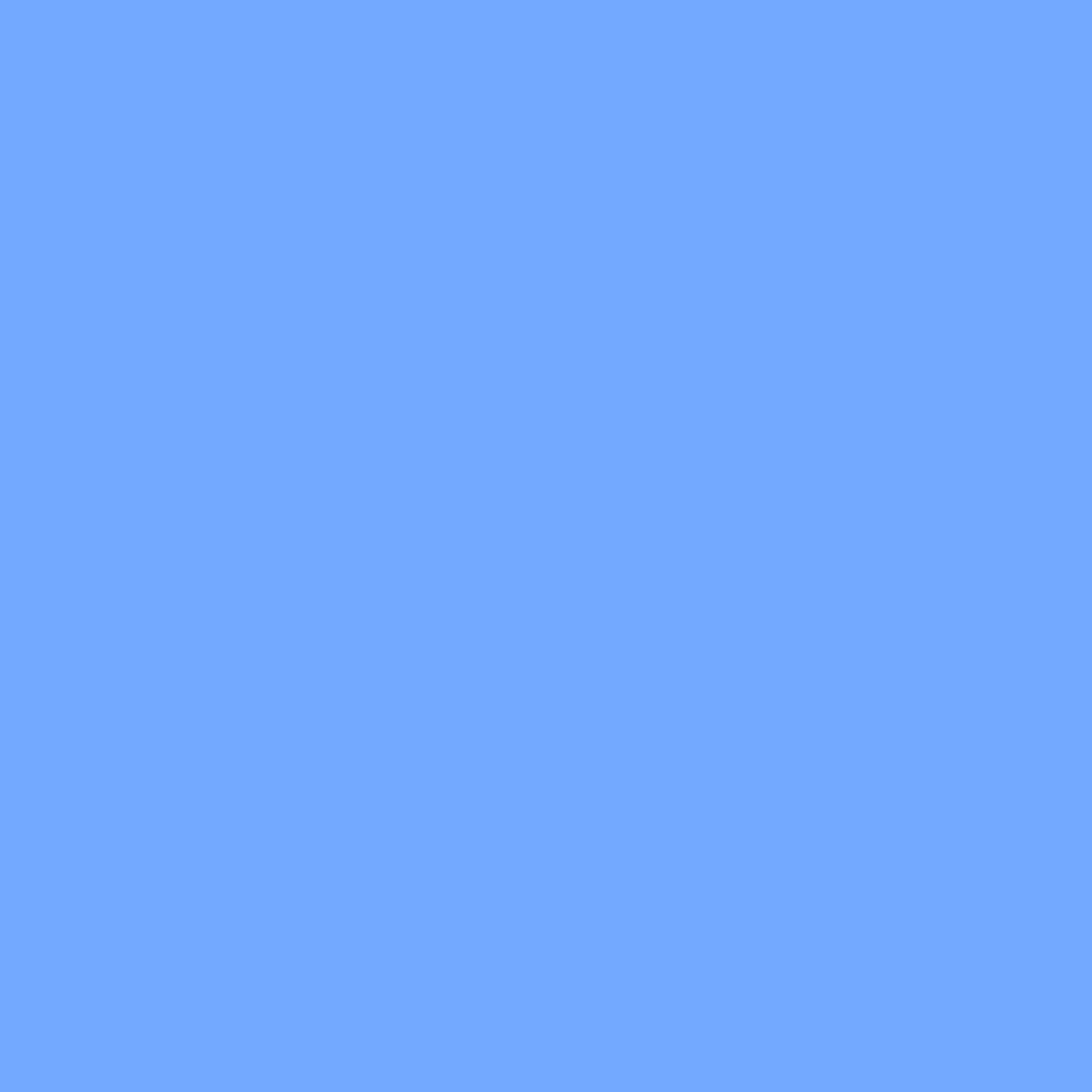 Chris James 201 Filter Full CT Blue “L”