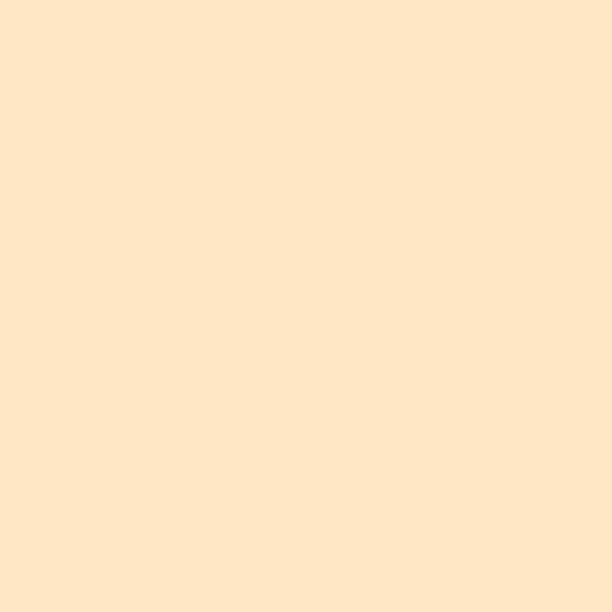 Chris James Filterbogen 103 "Straw" 53 x 61cm Chris James Filterbogen 103 "Straw" 53 x 61cm