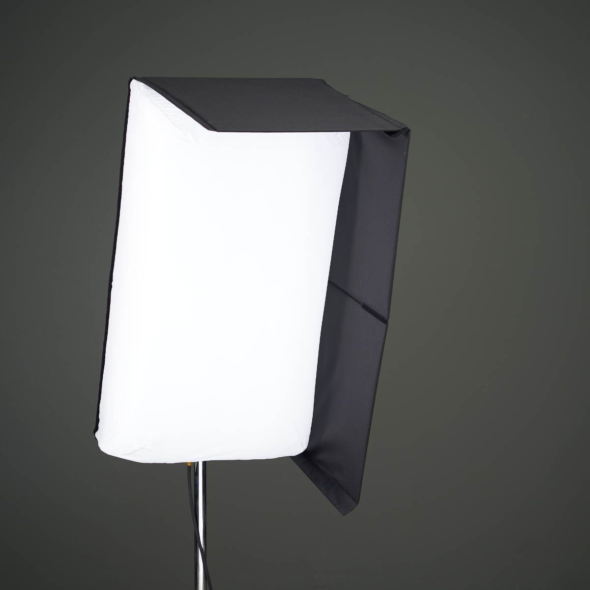 Caligri FlexSnoot L 100x50 2