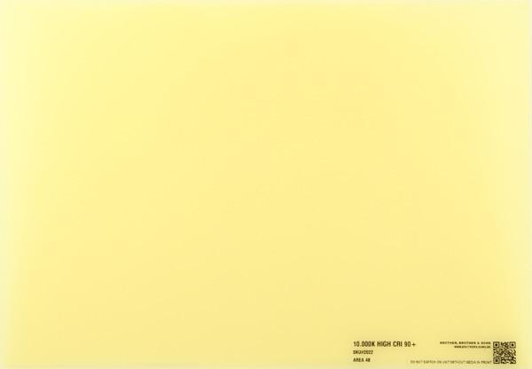 BB&S Remote Phosphor Panel 10000K