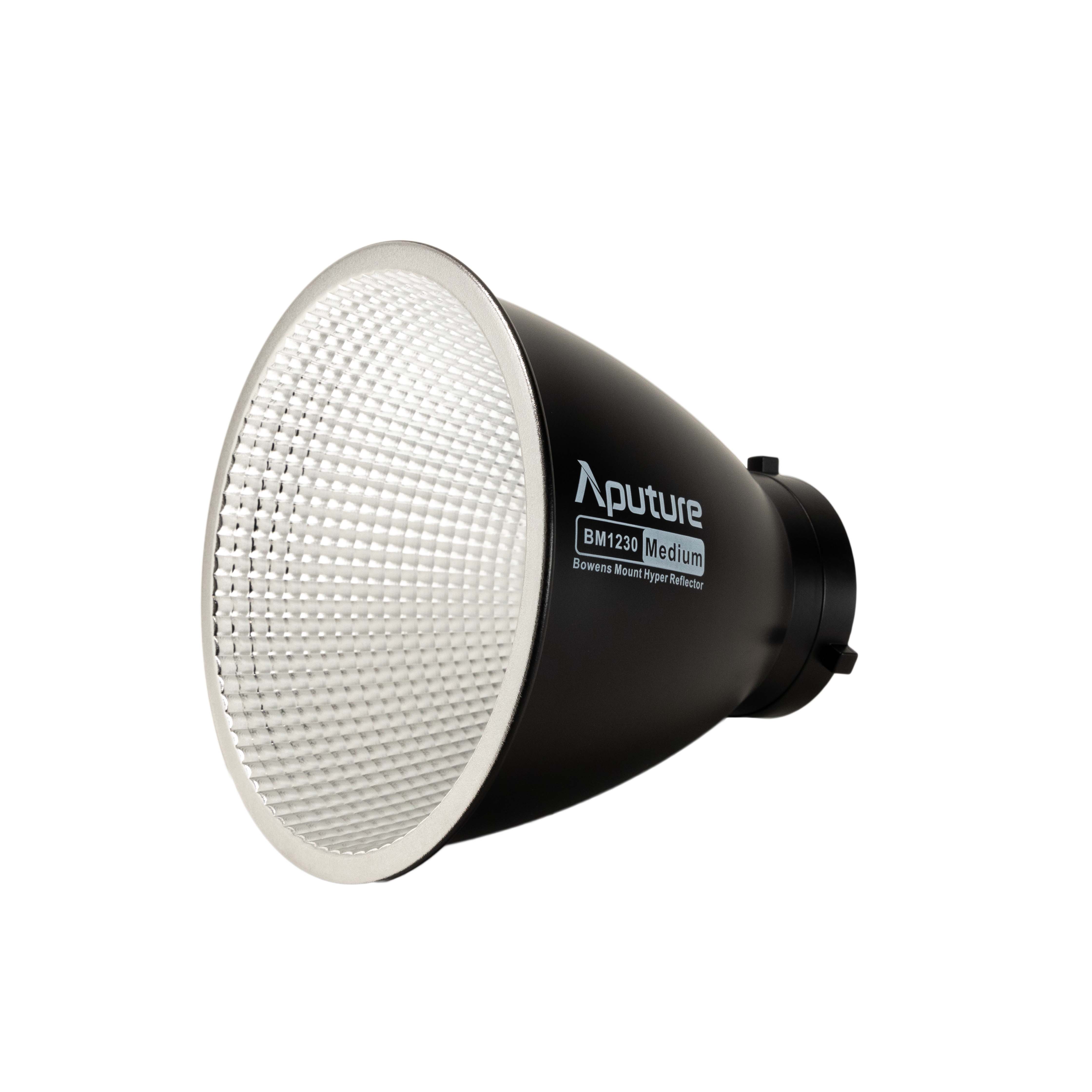 Aputure LS 1200d Pro Season Deal 7