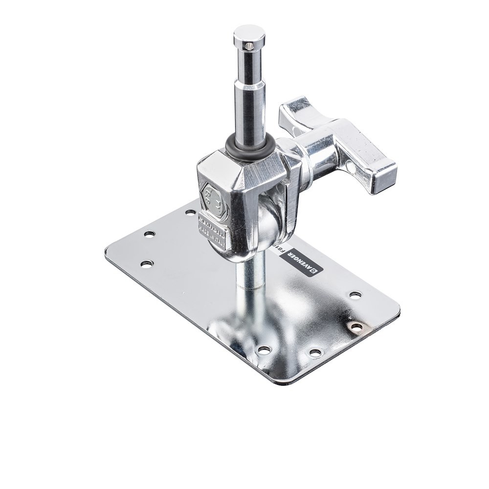 Avenger F810 Wall Plate, Baby w/ 16 mm/ 5/8 in Swivel Spigot