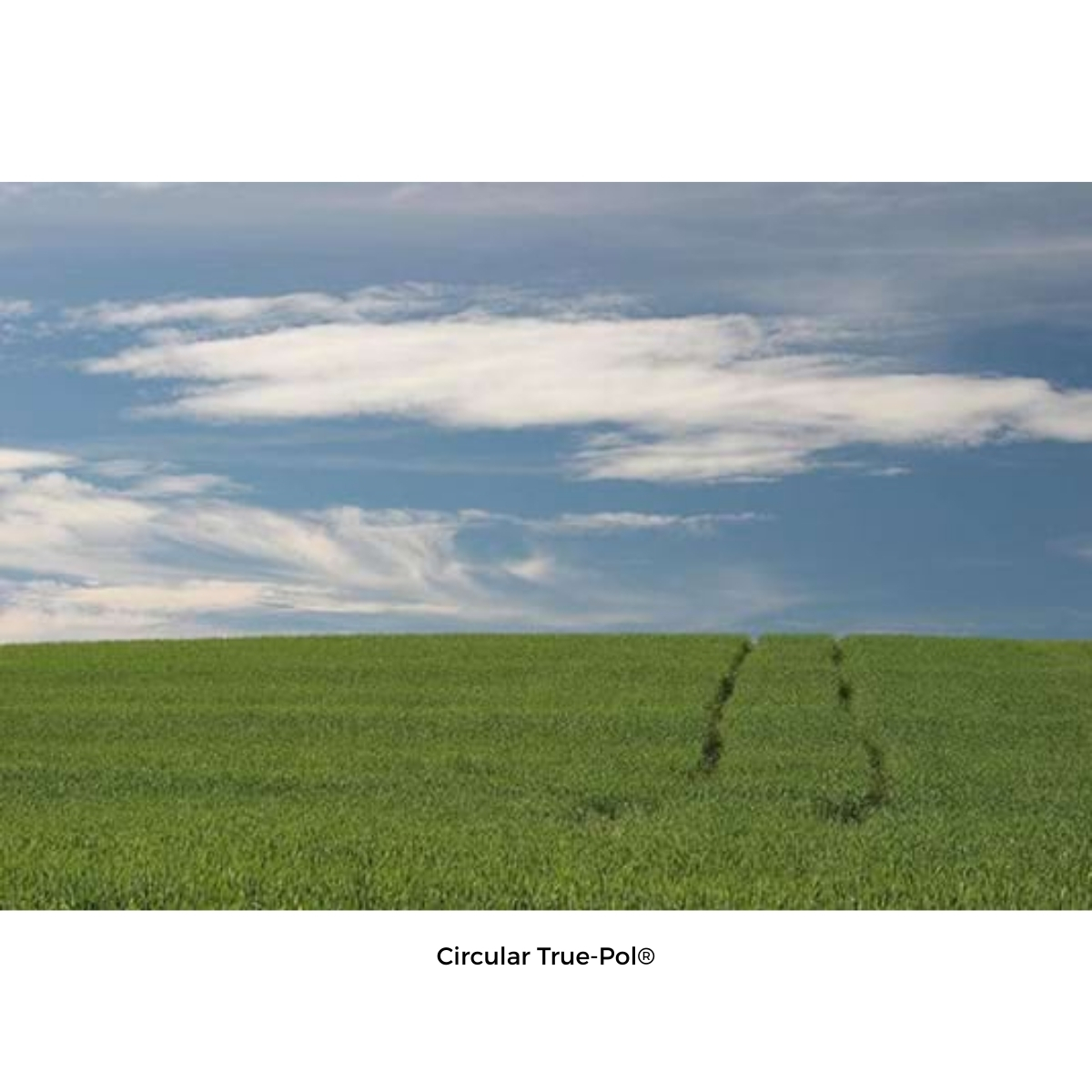 Schneider True-Pol® Circular 4 1/2'' DROP 3