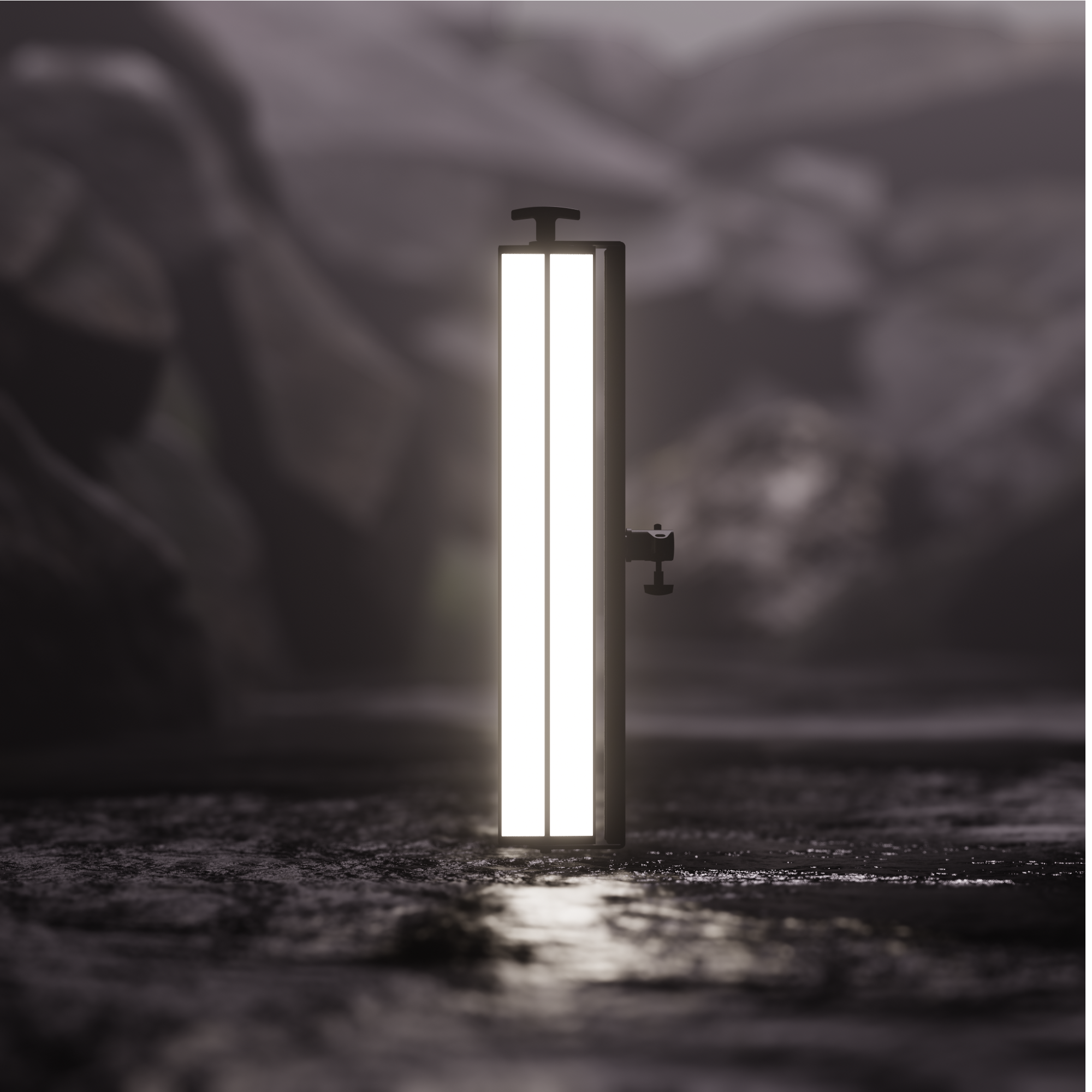 BB&S Reflect Bi-Color 2-Foot 2-Bank 2700K/5600K  2