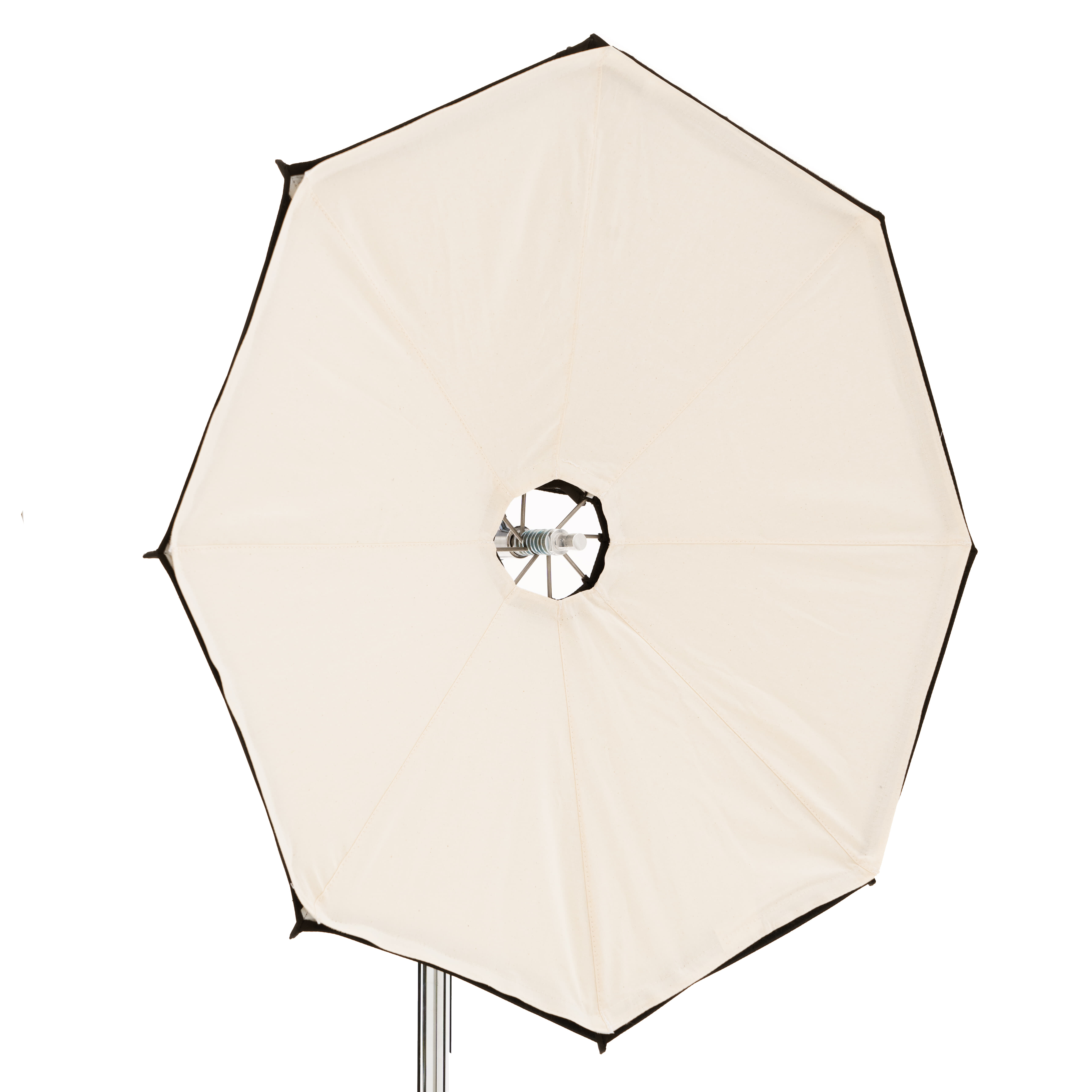 Lightbridge Color Bounce Unbleached 3ft