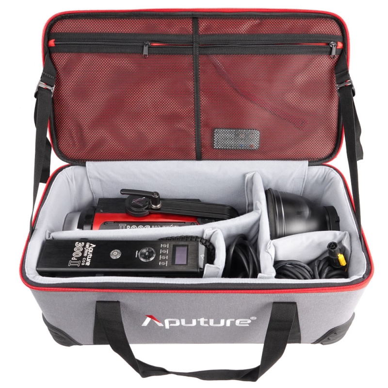Aputure LS C300d MKII (V-Mount) (EU-Version) 3