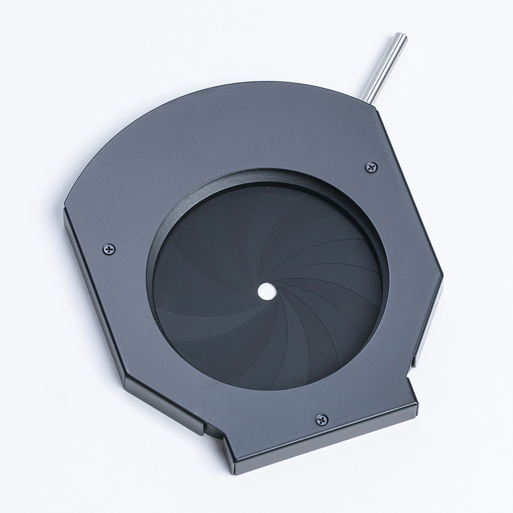 amaran Spotlight SE Iris 2