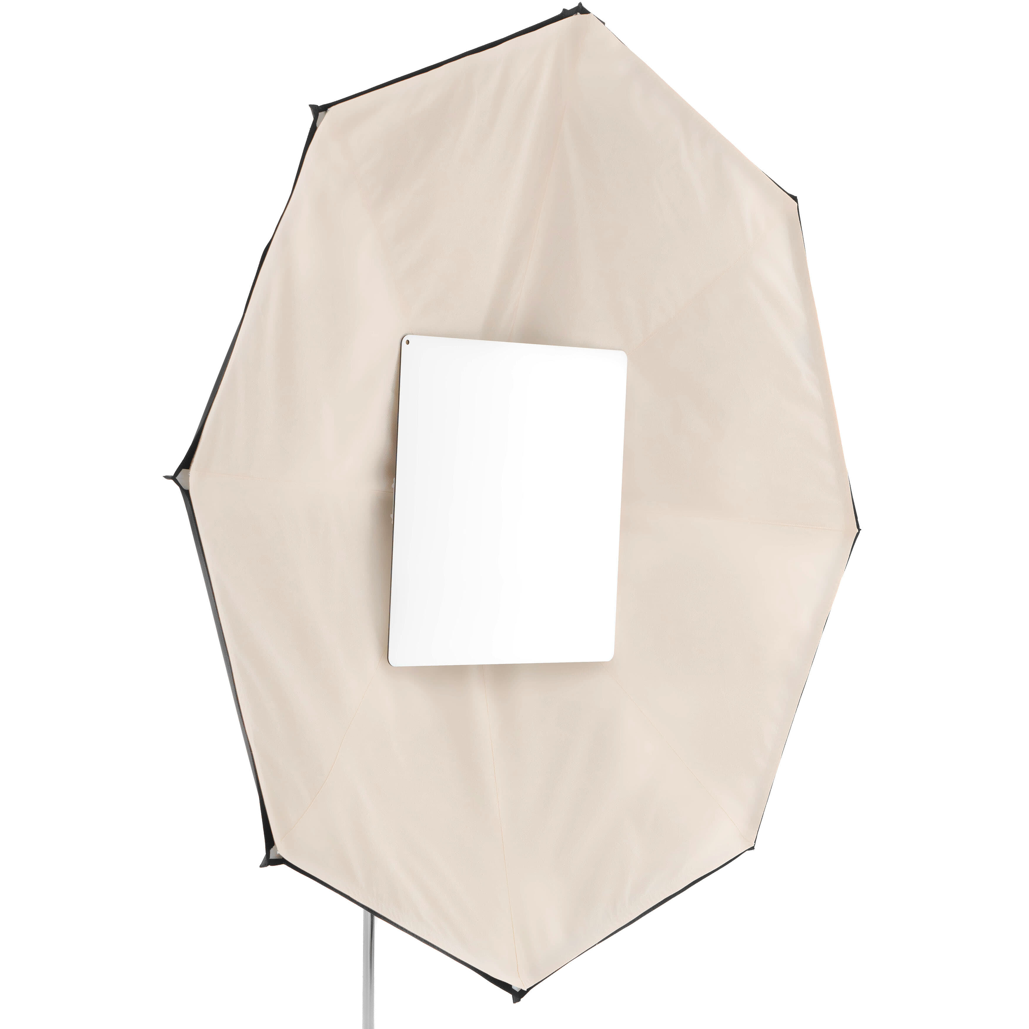 Lightbridge Color Bounce Unbleached 5ft